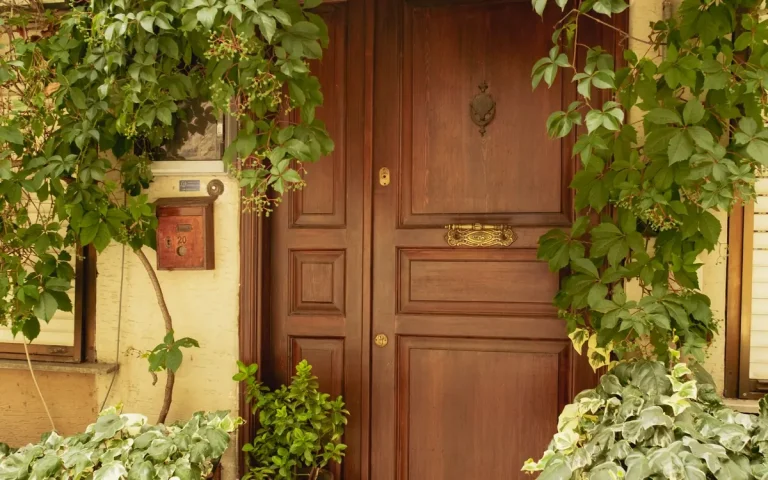 Brown front door with ivy, locksmith in Bartow, FL